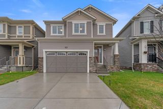 Main Photo: 188 Cityspring Way NE in Calgary: Cityscape Detached for sale : MLS®# A2130184