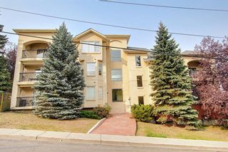 Photo 1: 203 3912 Stanley Road SW in Calgary: Parkhill Apartment for sale : MLS®# A2026517