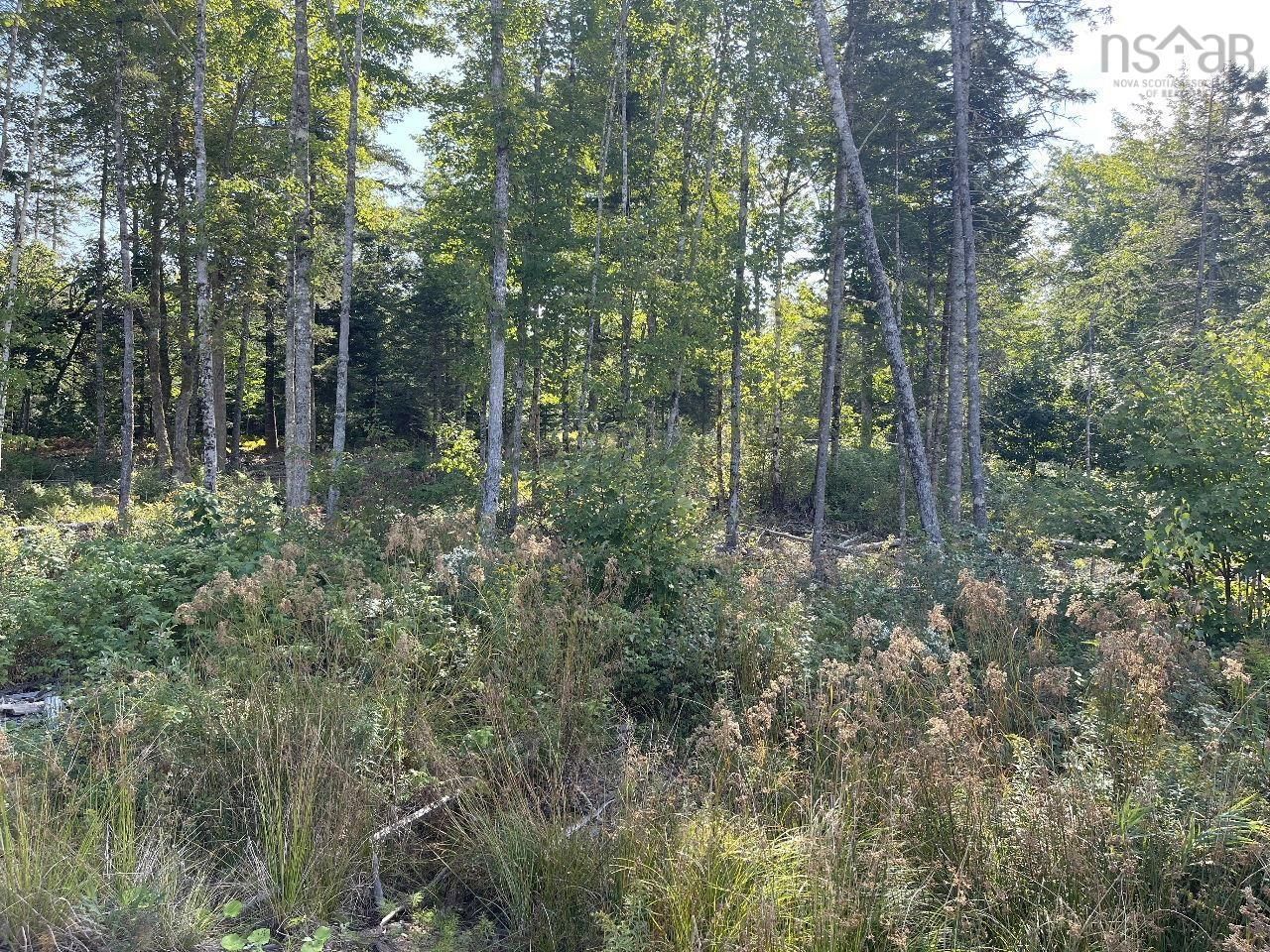 Main Photo: Lot 2-cd Renfrew Road in Nine Mile River: 105-East Hants/Colchester West Vacant Land for sale (Halifax-Dartmouth)  : MLS®# 202319704