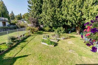 Photo 25: 1841 GREENMOUNT Avenue in Port Coquitlam: Oxford Heights House for sale : MLS®# R2490044