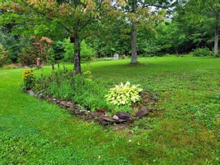 Photo 24: 272 Wallace Road in Hazel Glen: 108-Rural Pictou County Residential for sale (Northern Region)  : MLS®# 202220727