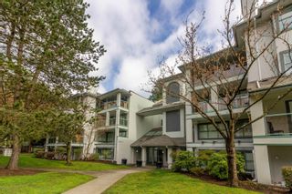 Photo 31: 306B 7025 STRIDE Avenue in Burnaby: Edmonds BE Condo for sale in "SOMERSET HILL" (Burnaby East)  : MLS®# R2880149
