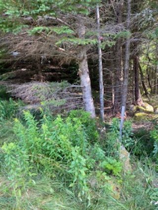 Photo 10: Lot 05-2K Highway 329 in Fox Point: 405-Lunenburg County Vacant Land for sale (South Shore)  : MLS®# 202218488