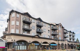 Photo 1: 329 1727 54 Street SE in Calgary: Penbrooke Meadows Apartment for sale : MLS®# A1220216