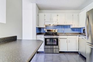 Photo 5: 401 659 4 Avenue NE in Calgary: Bridgeland/Riverside Apartment for sale : MLS®# A2015908