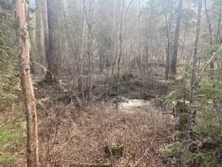 Photo 1: B - Lot 54 COKATO ROAD in Fernie: Vacant Land for sale : MLS®# 2476296
