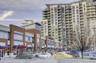 Photo 33: 2107 8710 Horton Road SW in Calgary: Haysboro Apartment for sale : MLS®# A2017096