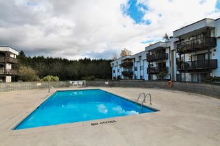 Photo 15: 105 12170 222 Street in Maple Ridge: West Central Condo for sale in "Wildwood Terrace Central" : MLS®# R2756770