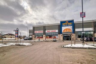 Photo 47: 612 Savanna Crescent NE in Calgary: Saddle Ridge Detached for sale : MLS®# A2117116