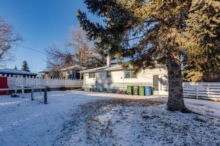 Photo 29: 1007 30th Avenue NW in Calgary: Cambrian Heights Detached for sale : MLS®# A1166487