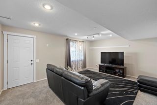 Photo 35: 172 Citadel Crest Circle NW in Calgary: Citadel Detached for sale : MLS®# A2048208