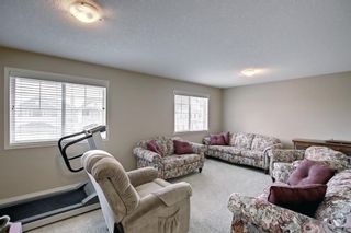 Photo 37: 336D Silvergrove Place NW in Calgary: Silver Springs Detached for sale : MLS®# A1199863