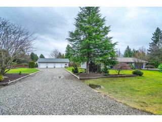 Photo 3: 4884 246A Street in Langley: Salmon River House for sale : MLS®# R2535071
