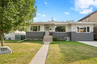 Photo 1: 525 22 Avenue NE in Calgary: Winston Heights/Mountview Detached for sale : MLS®# A1257551