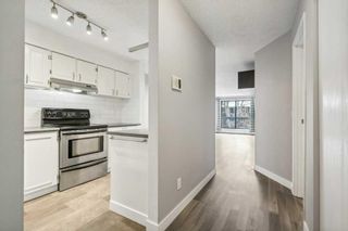 Photo 4: 309 630 57 Avenue SW in Calgary: Windsor Park Apartment for sale : MLS®# A2128299