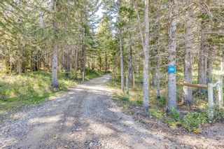 Photo 50: 5247 Township  Road 292: Rural Mountain View County Detached for sale : MLS®# A2081895