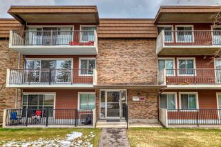 Photo 2: 92E 231 Heritage Drive SE in Calgary: Acadia Apartment for sale : MLS®# A2128659