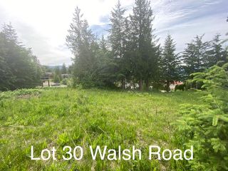 Photo 7: 30 Walsh Road in Blind Bay: SHUSWAP LAKE ESTATES Vacant Land for sale