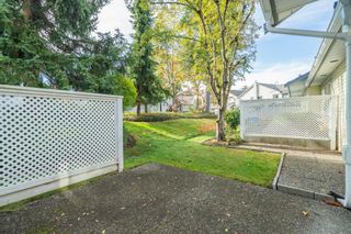 Photo 31: 903 21937 48 Avenue in Langley: Murrayville Townhouse for sale in "Orangewood" : MLS®# R2824547