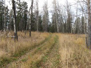 Photo 4: 3 miles east of Sundre in SUNDRE: Rural Mountain View County Rural Land for sale : MLS®# C3590774