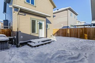 Photo 19: 25 Copperpond Rise SE in Calgary: Copperfield Detached for sale : MLS®# A1067896