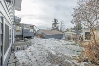 Photo 34: 4916 Whitehorn Drive NE in Calgary: Whitehorn Detached for sale : MLS®# A2114667