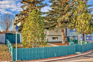 Photo 6:  in Calgary: Falconridge Detached for sale : MLS®# A2095027