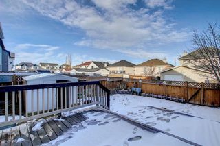 Photo 14: 25 Martha's Meadow Place NE in Calgary: Martindale Detached for sale : MLS®# A1259180