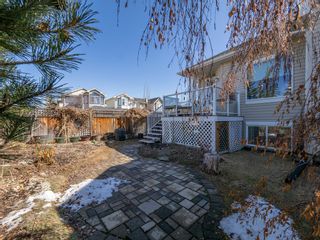 Photo 29: 446 Crystalridge Terrace: Okotoks Semi Detached (Half Duplex) for sale : MLS®# A2039363