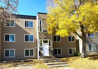 Main Photo: 210 315 Heritage Drive SE in Calgary: Acadia Apartment for sale : MLS®# A2115911