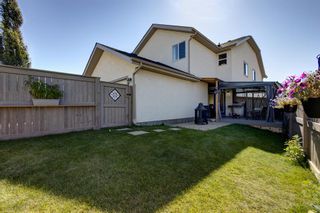 Photo 37: 149 Cranarch Place SE in Calgary: Cranston Detached for sale : MLS®# A2002846