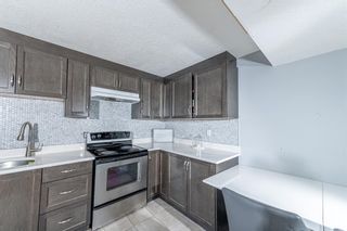 Photo 22: 280 Rundlefield Road NE in Calgary: Rundle Detached for sale : MLS®# A1142021