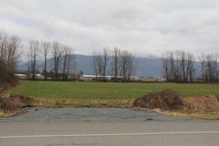 Photo 5: 40580 N PARALLEL Road in Abbotsford: Sumas Prairie Land for sale : MLS®# R2775689