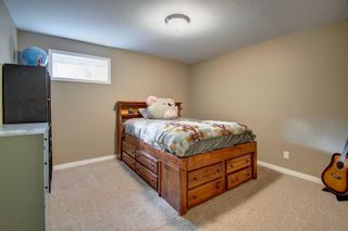 Photo 45: 30 Jensen Heights Place NE: Airdrie Detached for sale : MLS®# A2086529