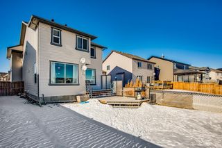Photo 24: 2081 Luxstone Boulevard SW: Airdrie Detached for sale : MLS®# A1073784