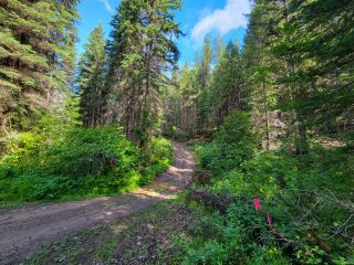 Photo 12: 4265 GIANT MINE ROAD in Spillimacheen: Vacant Land for sale : MLS®# 2474162