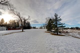 Photo 2: 220 Hunterbrook Place NW in Calgary: Huntington Hills Detached for sale : MLS®# A1059526