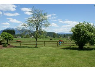 Photo 8: 15146 HARRIS Road in Pitt Meadows: North Meadows House for sale : MLS®# V852807