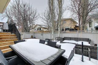 Photo 16: 25 Douglas Woods Grove SE in Calgary: Douglasdale/Glen Detached for sale : MLS®# A1244750