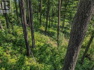 Photo 24: Lot 25 Forest View Place in Blind Bay: Vacant Land for sale : MLS®# 10278634