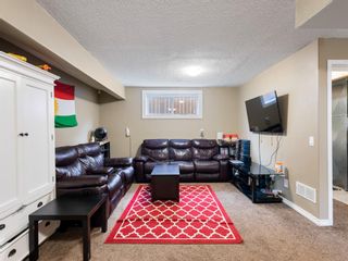 Photo 31: 206 Topaz Gate: Chestermere Detached for sale : MLS®# A1223747