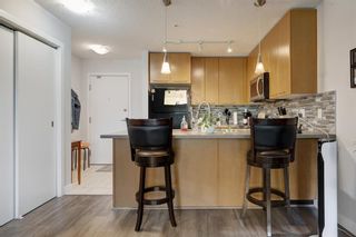 Photo 9: 210 35 Richard Court SW in Calgary: Lincoln Park Apartment for sale : MLS®# A2052409