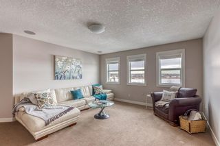 Photo 20: 212 COPPERPOND Circle SE in Calgary: Copperfield Detached for sale : MLS®# C4305503