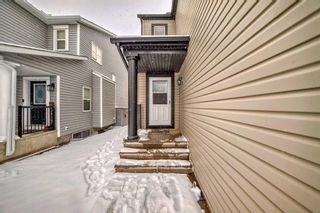 Photo 35: 142 COPPERSTONE Crescent SE in Calgary: Copperfield Detached for sale : MLS®# A2116829