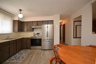 Photo 11: 3232 Doverville Crescent SE in Calgary: Dover Detached for sale : MLS®# A2011662