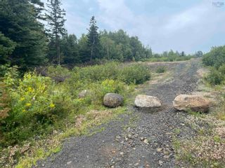 Photo 2: Lot 4 0 Brian Street in East Preston: 31-Lawrencetown, Lake Echo, Port Vacant Land for sale (Halifax-Dartmouth)  : MLS®# 202219025
