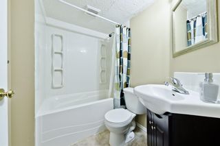 Photo 15: 120 MARTIN CROSSING Manor NE in Calgary: Martindale Detached for sale : MLS®# A1010354