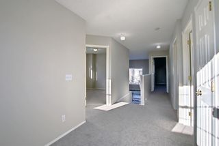 Photo 26: 146 Coral Keys Drive NE in Calgary: Coral Springs Detached for sale : MLS®# A1166045