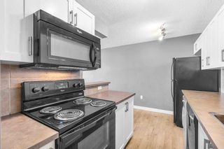 Photo 13: 105 110 24 Avenue SW in Calgary: Mission Apartment for sale : MLS®# A2119201