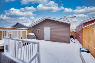 Photo 42: 47 Red Embers Lane NE in Calgary: Redstone Detached for sale : MLS®# A2021820